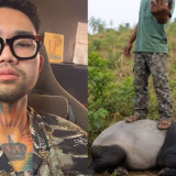 Kecam Penyembelihan Tapir Mesuji, Audrey "King of the Jungle" Minta Masyarakat Perbanyak Literasi Satwa