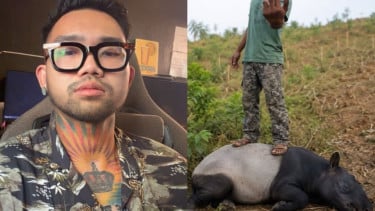 Kecam Penyembelihan Tapir Mesuji, Audrey "King of the Jungle" Minta Masyarakat Perbanyak Literasi Satwa