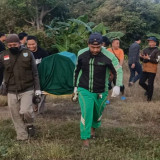 Pria Asal Pasuruan Ditemukan Tewas di Sawah, Polisi Selidiki Dugaan Luka pada Tubuh Korban
