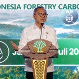 Menko Pangan Minta Sektor Lain Ikuti Langkah Cepat Kemenhut dalam Perdagangan Karbon