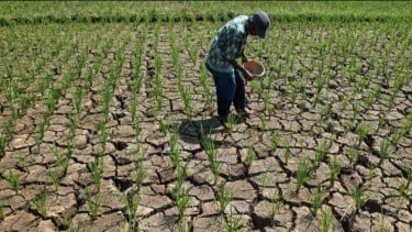 Ciamis Tetapkan Siaga Darurat Kekeringan