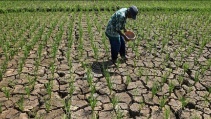 Ciamis Tetapkan Siaga Darurat Kekeringan