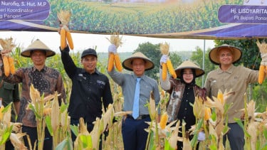 Hasil Panen Jagung di Ponorogo Meningkat, Jadi Percontohan Produksi Jagung Melalui Teknologi Benih Inovatif