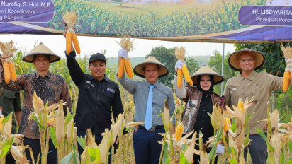 Hasil Panen Jagung di Ponorogo Meningkat, Jadi Percontohan Produksi Jagung Melalui Teknologi Benih Inovatif