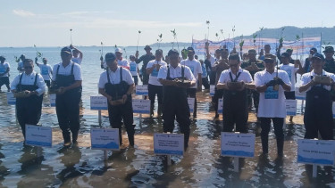 Menteri LH: 700 Ribu Hektare Mangrove Indonesia Rusak, Restorasi Jadi Gerakan Nasional