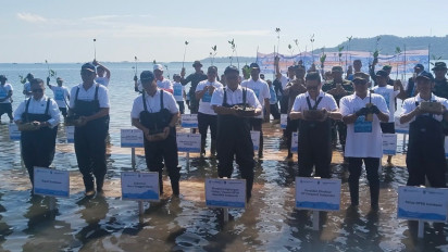 Menteri LH: 700 Ribu Hektare Mangrove Indonesia Rusak, Restorasi Jadi Gerakan Nasional