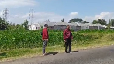 Nahas! Pedagang Tempe Dibegal saat Antar Pesanan di Probolinggo, Motor dan Dagangan Hilang