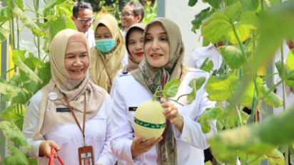 Generasi Muda Diajak Menekuni Pertanian Modern