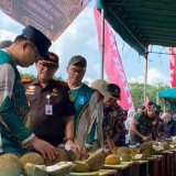Kontes Durian Dimanfaatkan Untuk Promosi Desa Wisata