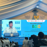 Prabowo Pasang Target Raksasa 100 GW PLTS, Siap Dihujat: Pakar-Pakar Akan Bilang Mana Mungkin