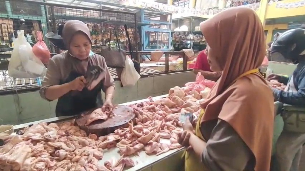 Harga Daging Ayam Merosot Drastis Selama Libur Sekolah, Rp32 Ribu per Kilogram
            - galeri foto