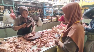 Harga Daging Ayam Merosot Drastis Selama Libur Sekolah, Rp32 Ribu per Kilogram