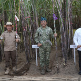 PT SGN Tekankan Sinergi dengan Petani untuk Dukung Swasembada Gula Nasional