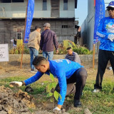 Gerakan Langit Biru: Aksi Kader Demokrat Kaltim dan Kutai Timur Tanam Ratusan Pohon di Polder Ilham Maulana