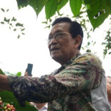 Dukung Promosi Kopi, Pemda DIY Siapkan Bantuan Gerobak Kopi