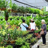 Taman Anggrek Ragunan: Dari Wisata Edukasi hingga Sumber Retribusi Daerah