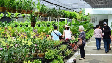 Taman Anggrek Ragunan: Dari Wisata Edukasi hingga Sumber Retribusi Daerah