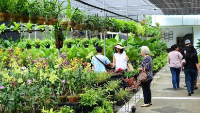 Taman Anggrek Ragunan: Dari Wisata Edukasi hingga Sumber Retribusi Daerah