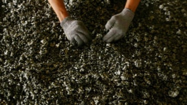 Kepastian Pasokan Bijih Nikel Jadi Kunci Hilirisasi, INDEF Soroti Pentingnya Relaksasi Kuota Produksi