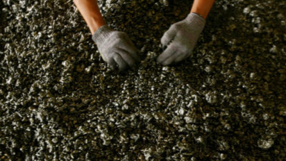 Kepastian Pasokan Bijih Nikel Jadi Kunci Hilirisasi, INDEF Soroti Pentingnya Relaksasi Kuota Produksi