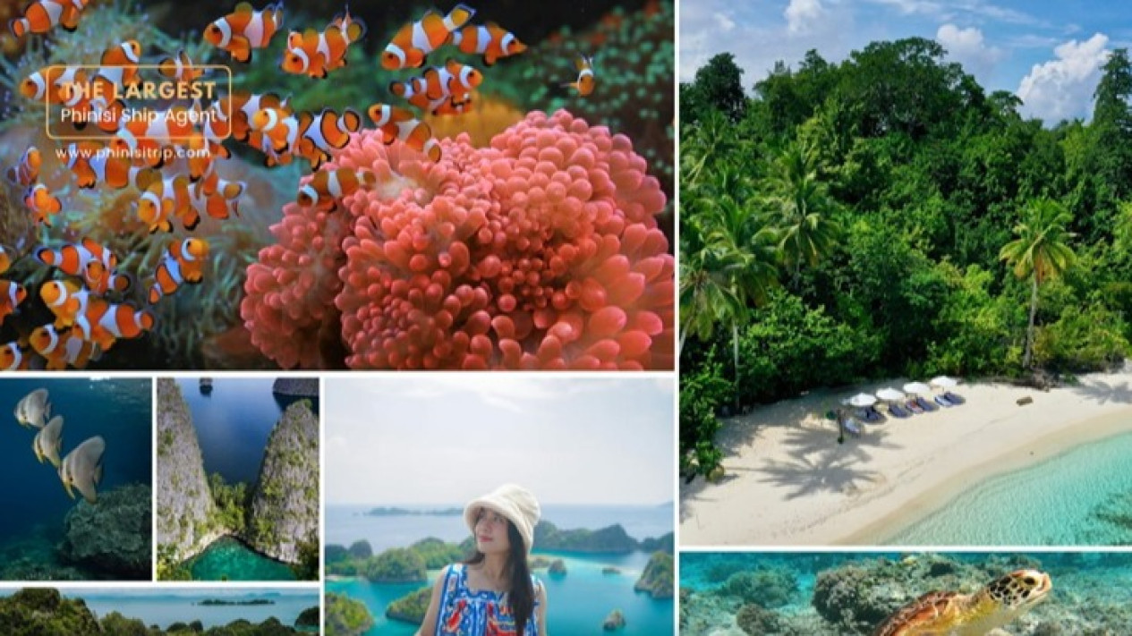 Liburan Premium di Raja Ampat Liveaboards Bersama Phinisi Trip Indonesia
            - galeri foto