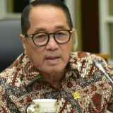 DPR Usul Ada Undang-Undang Kelapa Sawit seperti Malaysia, Ini Alasannya