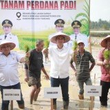 Lahan Pertanian Mulai Pulih dan Kembali Ditanami Padi, Sekda Aceh Apresiasi Satgas PRR