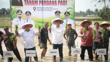 Lahan Pertanian Mulai Pulih dan Kembali Ditanami Padi, Sekda Aceh Apresiasi Satgas PRR