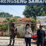 Kegiatan Belajar Mengajar SDN Srengseng Sawah 15 Kembali Normal Peneror Ditangkap, MPLS Dilakukan seperti Biasa