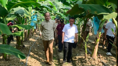 Mentrans Iftitah Dorong Pisang Jadi Senjata Baru Wujudkan Swasembada Pangan Nasional