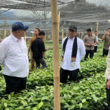 Mentan Amran: Kopi Gayo  Menggetarkan Dunia , Target Ekspor Perkebunan Rp200 Triliun