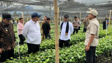 Mentan Amran: Kopi Gayo 'Menggetarkan Dunia', Target Ekspor Perkebunan Rp200 Triliun