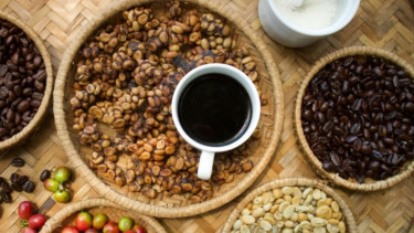 Coffee Lovers Wajib Tahu, Ini Waktu Aman Minum Kopi Menurut Dokter