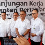 Dukung B50 dan Ketahanan Pangan, PTPN IV PalmCo Perkuat PSR, Serap 1,73 Juta Ton TBS Petani