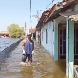 Rob Terparah Kembali Rendam Desa Tunggulsari Pati, Ketinggian Air Capai 1 Meter