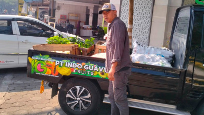 Berawal dari Motor Tua, PT Indo Guava Fruits Kini Pasok Jambu Biji Merah ke Berbagai Kota dan Mitra Nasional