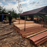 Bongkar Sawmill Ilegal, Polda Riau Dapati Ratusan Batang Kayu
