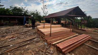 Bongkar Sawmill Ilegal, Polda Riau Dapati Ratusan Batang Kayu