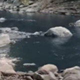KDM Bakal Cari Orang yang Buang Limbah hingga Sungai Ciwidey Menghitam, Sampel Sudah Dikantongi