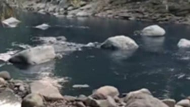 Sungai Ciwidey Menghitam Diduga Tercemar Limbah, Dedi Mulyadi Murka: Ngaku atau Tidak Ngaku Pasti Kita Proses