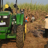Prabowo Pimpin Panen Raya Tebu Serentak, SGN Optimistis Swasembada Gula Dipercepat