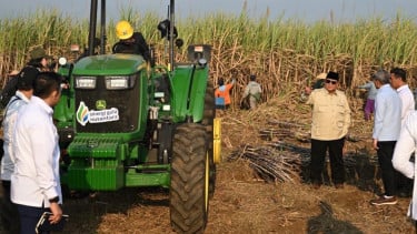 Prabowo Pimpin Panen Raya Tebu Serentak, SGN Optimistis Swasembada Gula Dipercepat