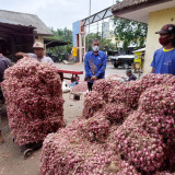 Harga Bawang Merah di Probolinggo Anjlok, Jadi Yang Terendah di Tahun 2026