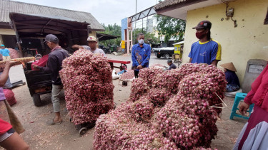 Harga Bawang Merah di Probolinggo Anjlok, Jadi Yang Terendah di Tahun 2026