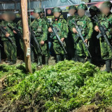 TNI Temukan 5.000 Batang Ganja di Pedalaman Yahukimo, Busur dan Puluhan Anak Panah Ikut Diamankan