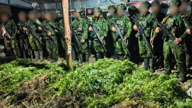TNI Temukan 5.000 Batang Ganja di Pedalaman Yahukimo, Busur dan Puluhan Anak Panah Ikut Diamankan