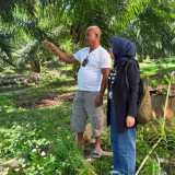 Dari Jalan Berlumpur hingga Pelosok Desa, Kiprah Mantri BRI Menjadi Penggerak Pertumbuhan Ekonomi Kerakyatan