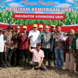 Kementerian UMKM Perkuat Kelompok Tani Jagung dengan Dukungan KUR