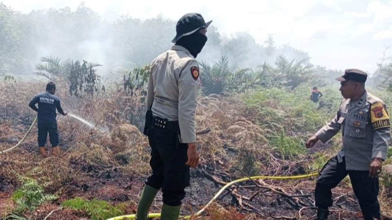 Karhutla Aceh Barat Meluas, 12,5 Hektare Lahan Terbakar di Empat Kecamatan
            - galeri foto