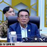 Berpotensi Ancam Keberlangsungan Petani Tembakau, DPR RI Minta Pemerintah Kaji Ulang Rancangan Aturan Pembatasan Nikotin dan Tar